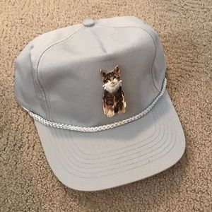 Cat hat